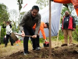 PT Angkasa Pura Indonesia Tanan 1.000 Pohon di Kerinci 